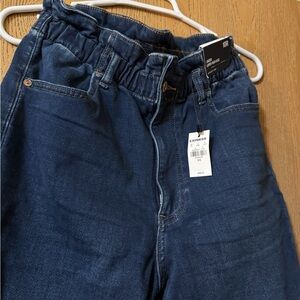 NWT Express Jogger Jeans